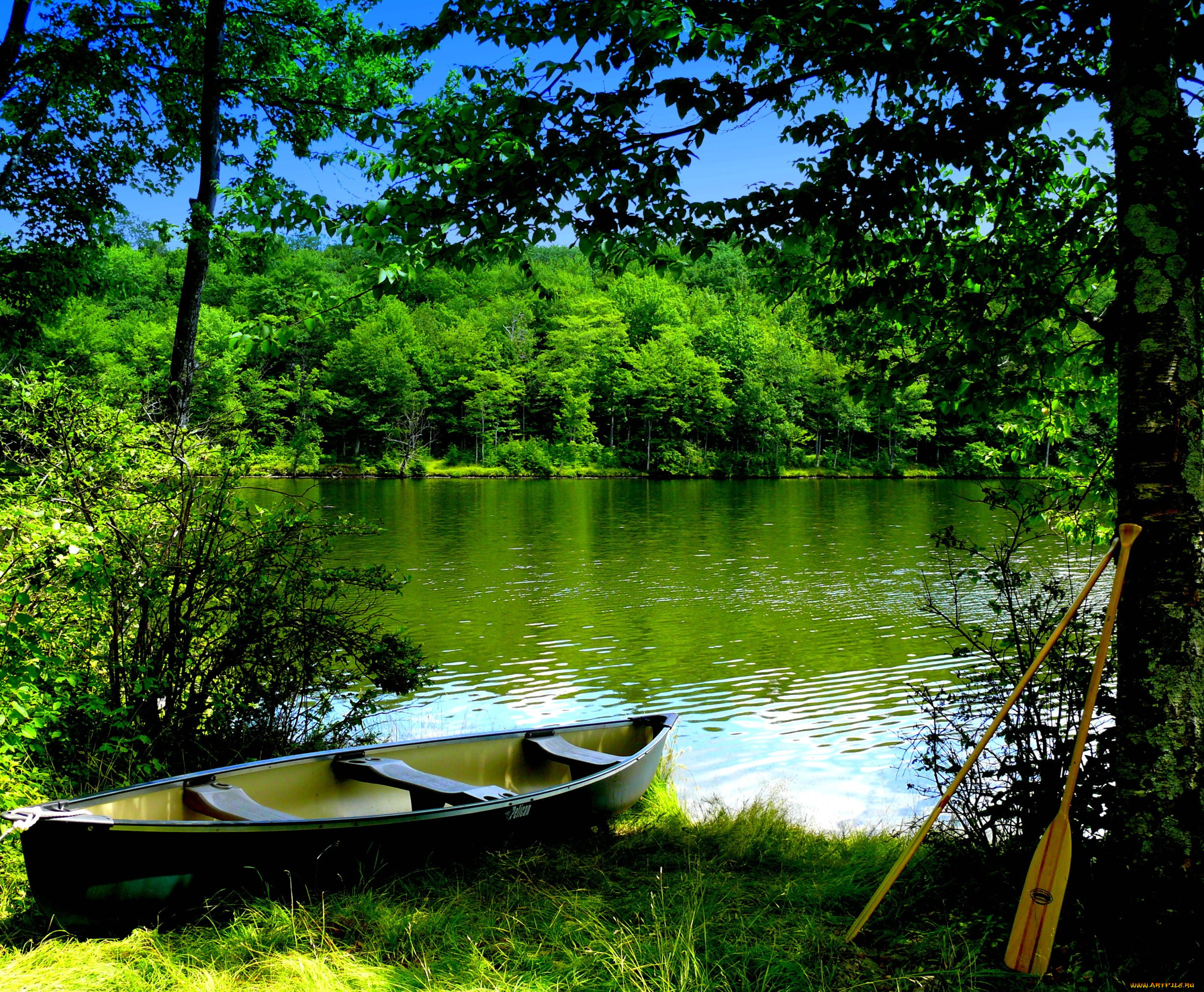 green, lake, , , , , 